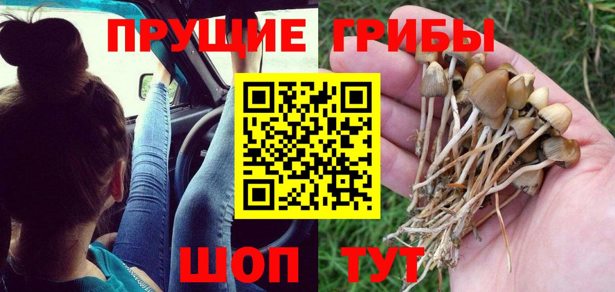 Псилоцибиновые грибы мухоморы  Вход с VPN  купить   Сланцы 